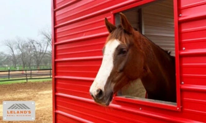 steel horse barn 
