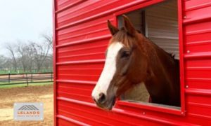 metal horse barn styles