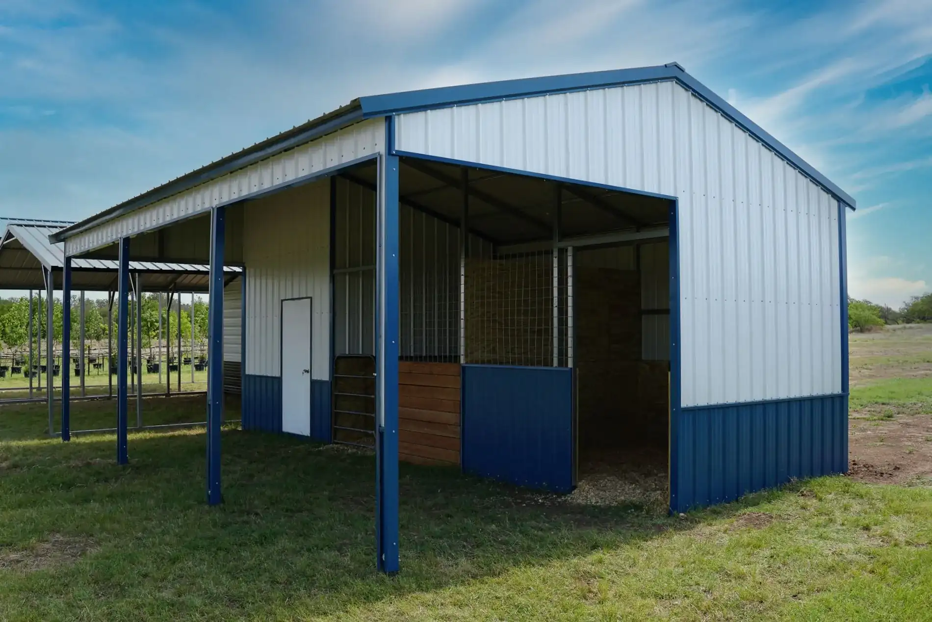 lelands metal buildings - texas elite loafing shed hero bg