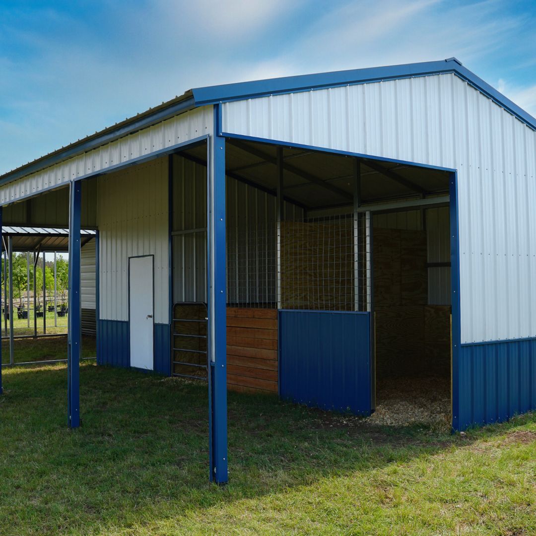 texas elite loafing shed in blue