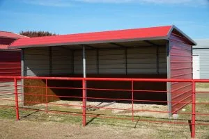 LoafingShed_1119_5-web.jpg