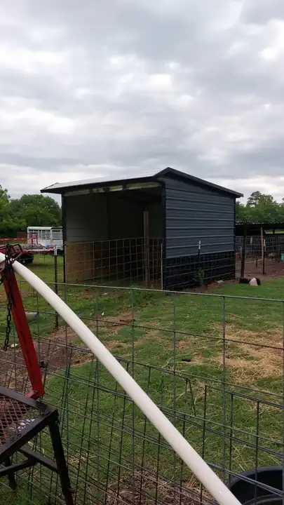 12x12x8 Loafing Shed - Image 3
